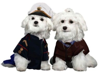 Madison and Macie, Maltese Pups
